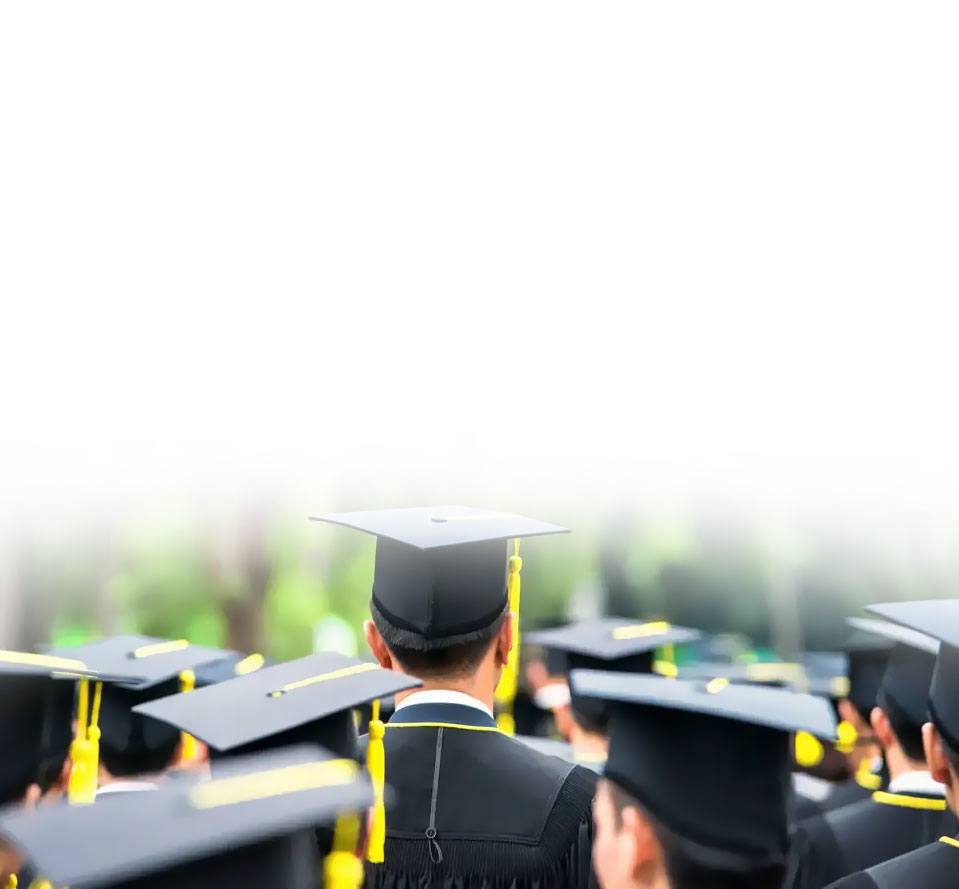 �Żݻ��������_��ҳ